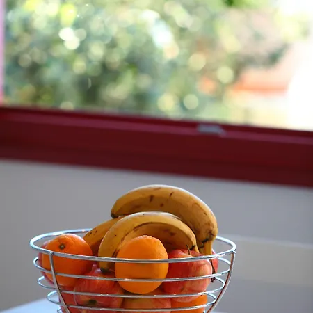 Katerina Mare 4* Науса